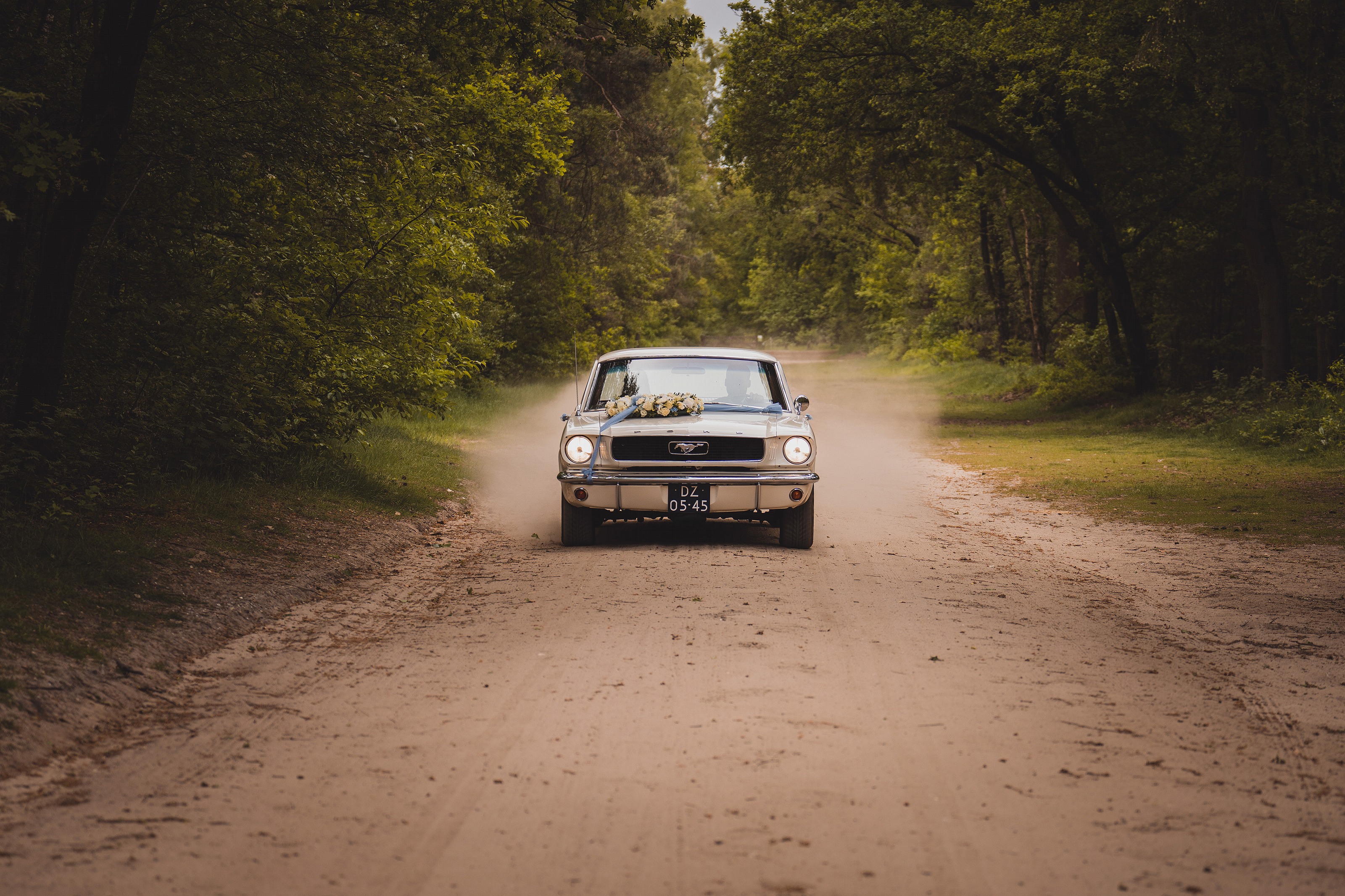 Klassieke Mustang rijdt over een zandweg tussen de bomen